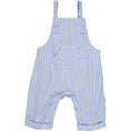 Load image into Gallery viewer, Ahoy Woven Overalls