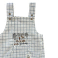 Load image into Gallery viewer, Wide Checked Everyone Loves Gardening Shorts Salopette
