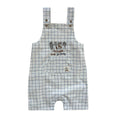 Load image into Gallery viewer, Wide Checked Everyone Loves Gardening Shorts Salopette