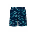 Load image into Gallery viewer, Cardumen Deep Blue Swimshorts