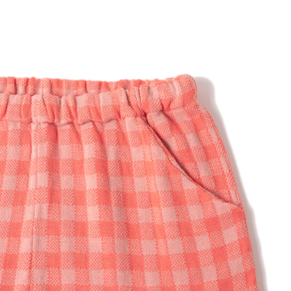 Gingham Coloured Shorts