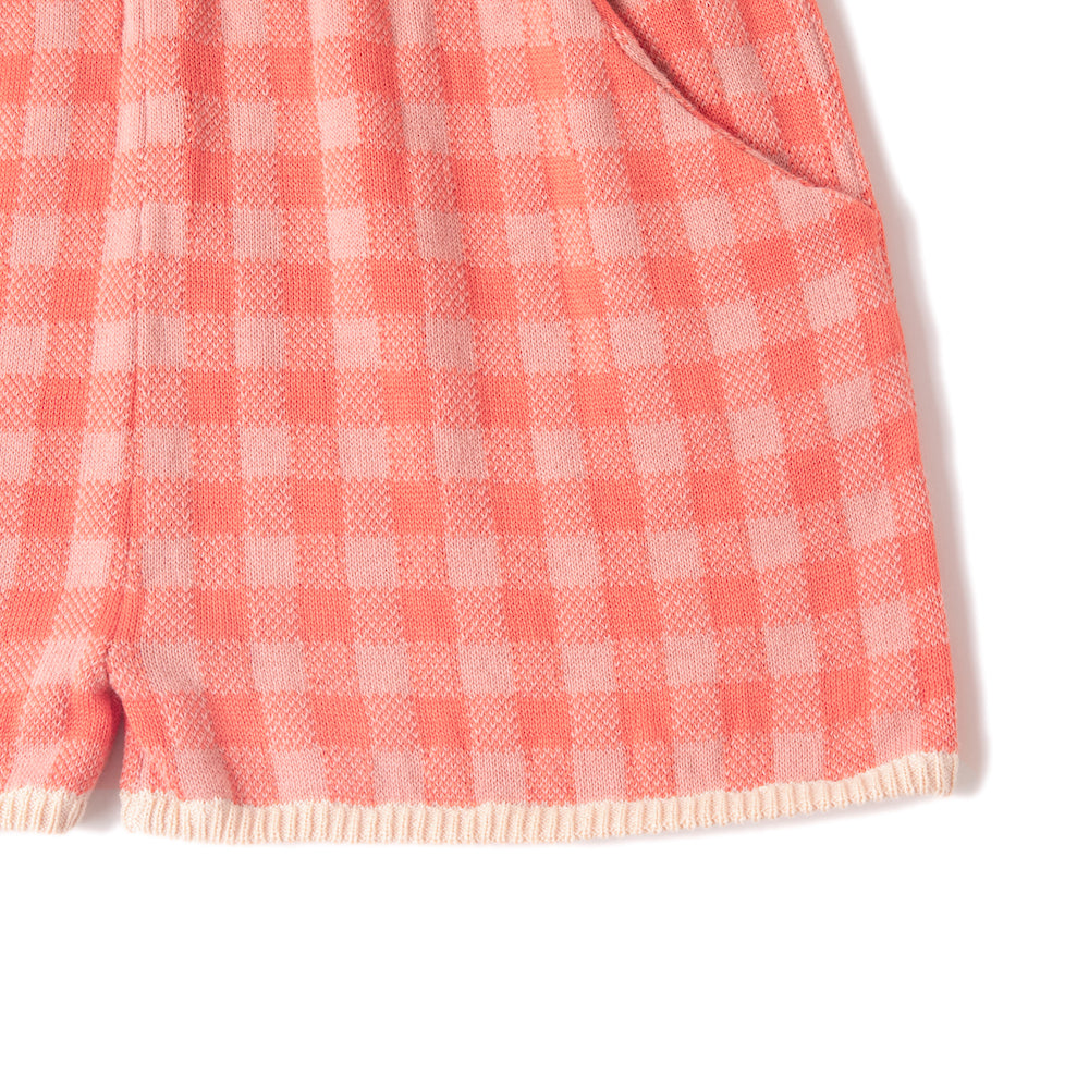 Gingham Coloured Shorts