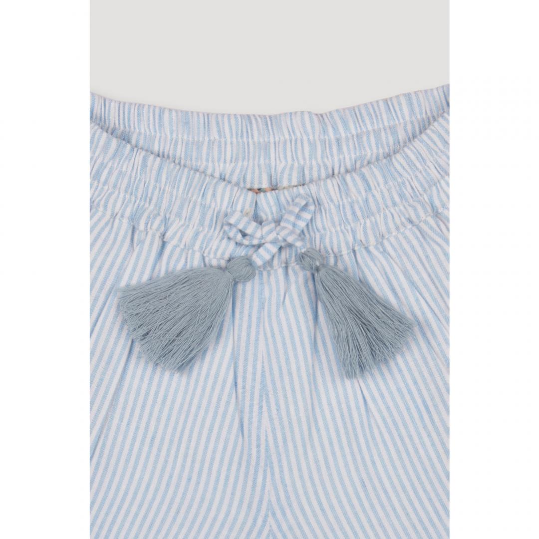 Pinstripe Ambroise Shorts