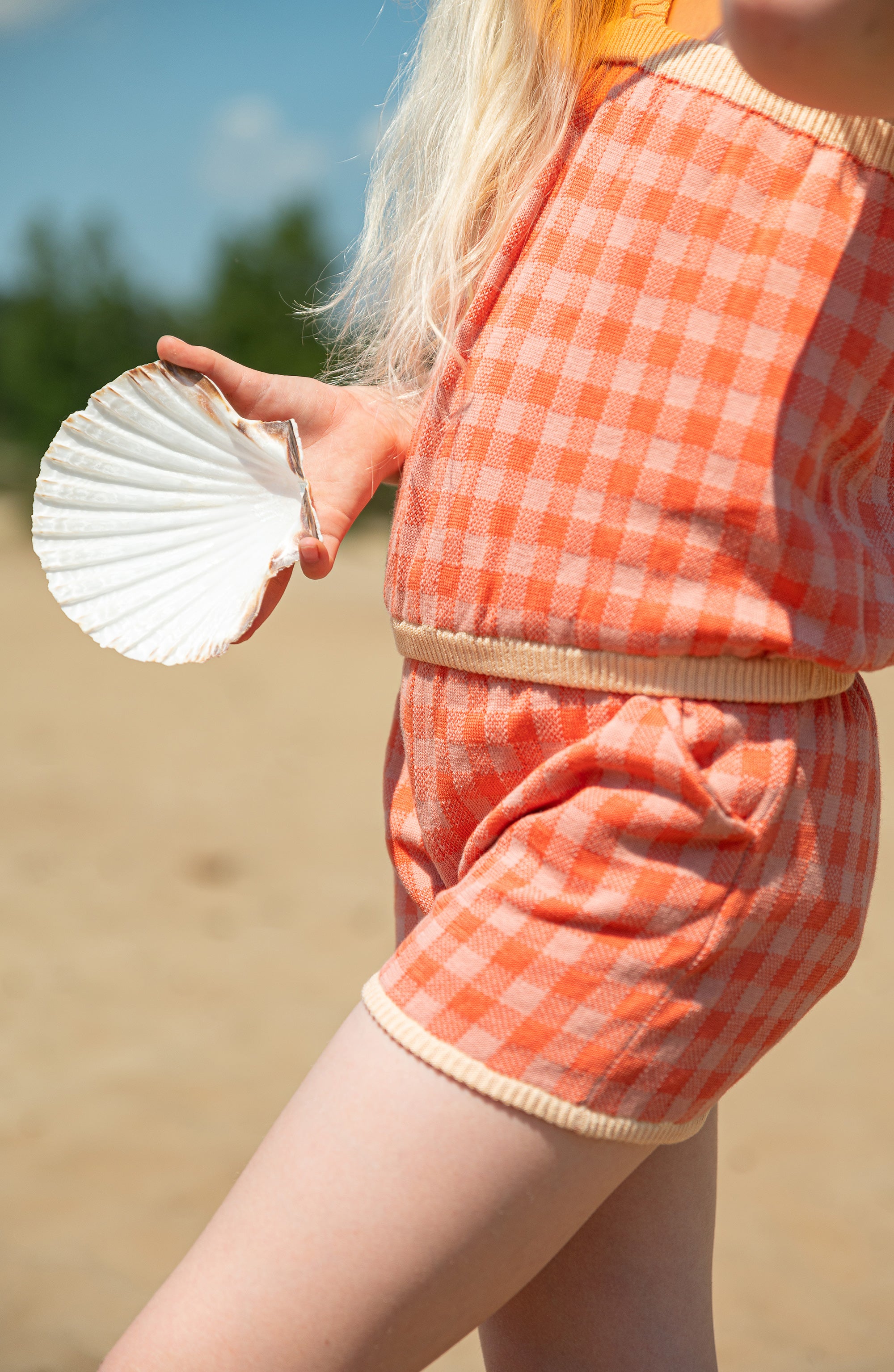 Gingham Coloured Shorts