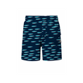 Load image into Gallery viewer, Cardumen Deep Blue Swimshorts
